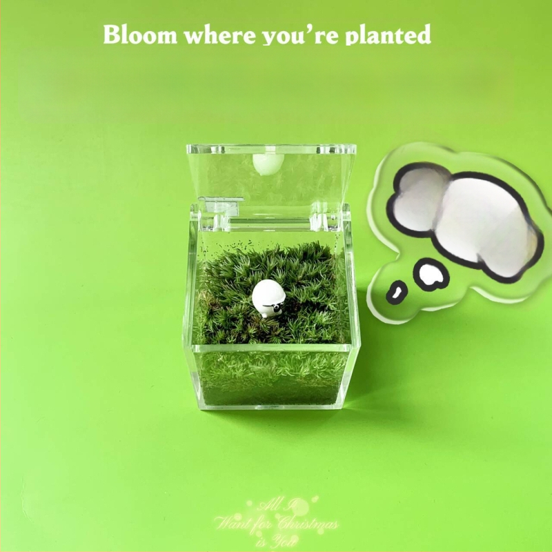 Peisaj mic cu mușchi pentru birou – realizat manual, personalizare logo disponibil, cadou pentru birou