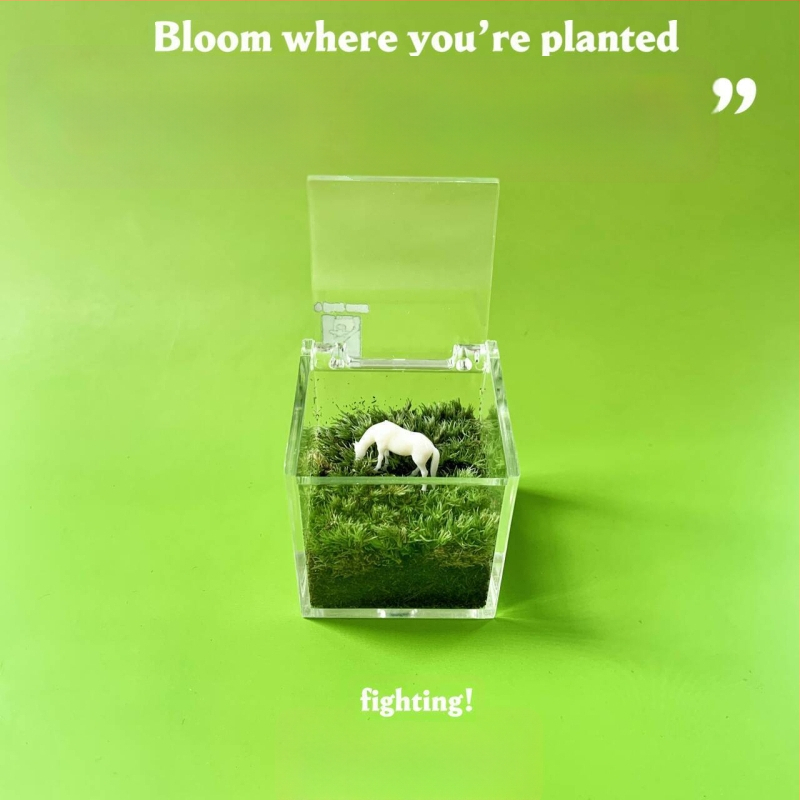 Peisaj mic cu mușchi pentru birou – realizat manual, personalizare logo disponibil, cadou pentru birou