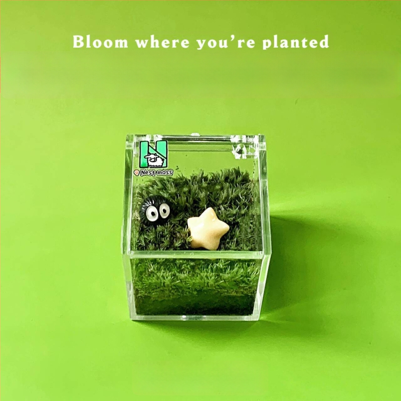 Peisaj mic cu mușchi pentru birou – realizat manual, personalizare logo disponibil, cadou pentru birou