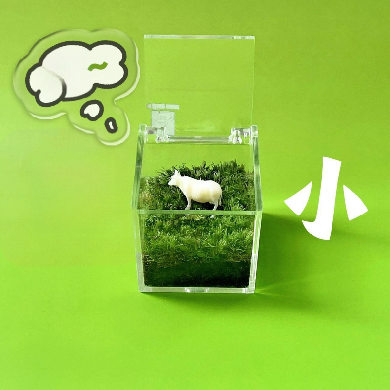 Peisaj mic cu mușchi pentru birou – realizat manual, personalizare logo disponibil, cadou pentru birou