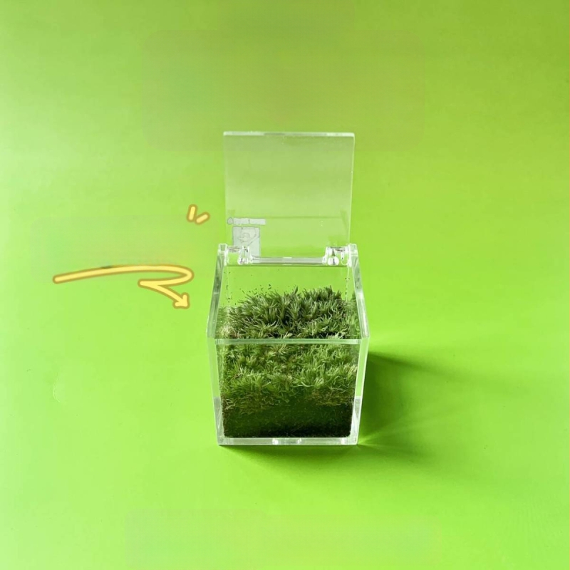 Peisaj mic cu mușchi pentru birou – realizat manual, personalizare logo disponibil, cadou pentru birou