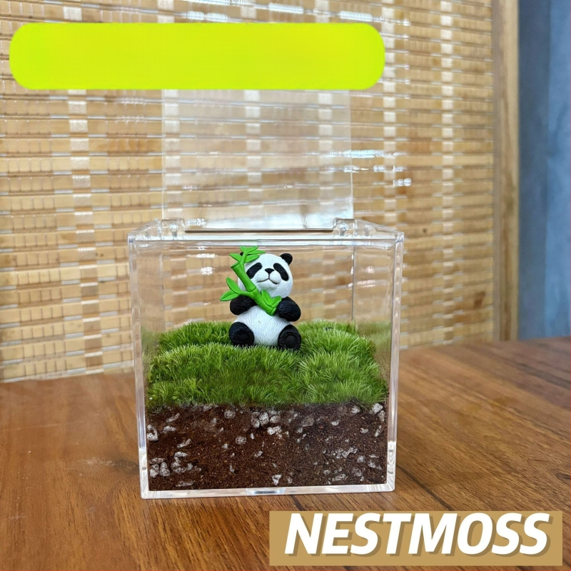 Peisaj mic cu mușchi în sticluță pentru birou – lucrat manual, din plastic, personalizare disponibilă cu imprimare a logo-ului, potrivit ca cadou de afaceri