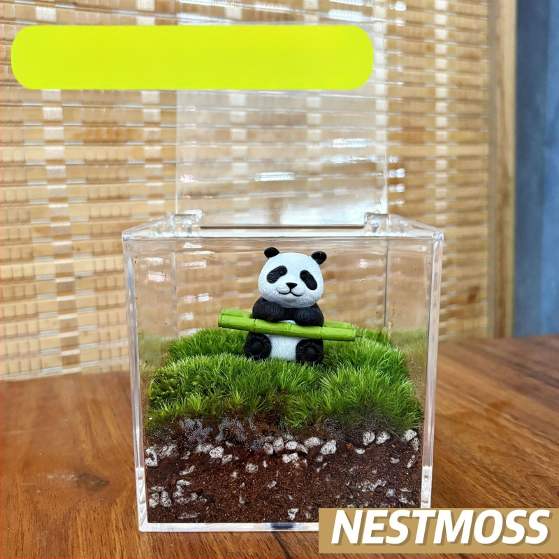 Peisaj mic cu mușchi în sticluță pentru birou – lucrat manual, din plastic, personalizare disponibilă cu imprimare a logo-ului, potrivit ca cadou de afaceri