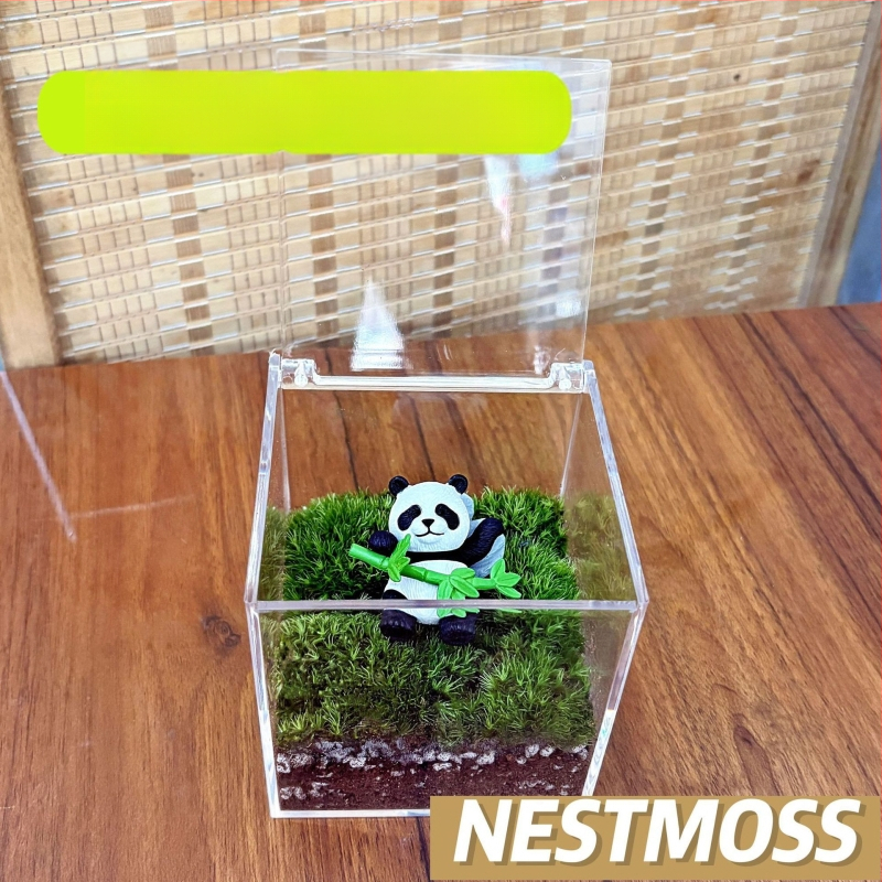 Peisaj mic cu mușchi în sticluță pentru birou – lucrat manual, din plastic, personalizare disponibilă cu imprimare a logo-ului, potrivit ca cadou de afaceri