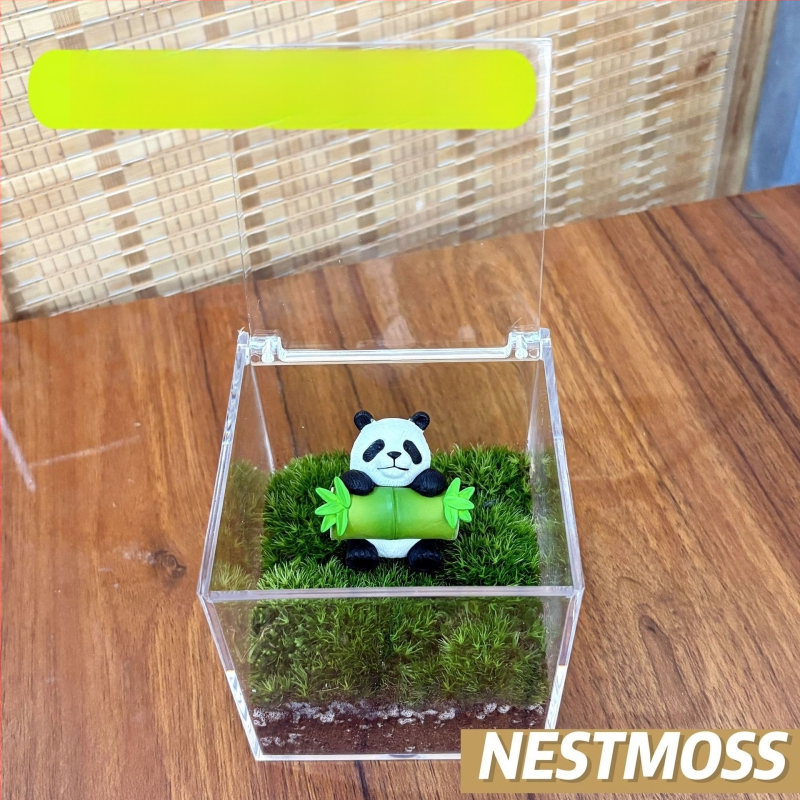 Peisaj mic cu mușchi în sticluță pentru birou – lucrat manual, din plastic, personalizare disponibilă cu imprimare a logo-ului, potrivit ca cadou de afaceri