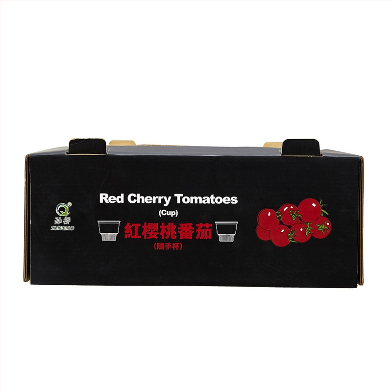 Πτυσσόμενη συσκευασία ηλεκτρικών οικιακών συσκευών από κυματοειδή χαρτόνι, 250 γ/μ², κοπή με καλούπι και εκτύπωση, κατά παραγγελία