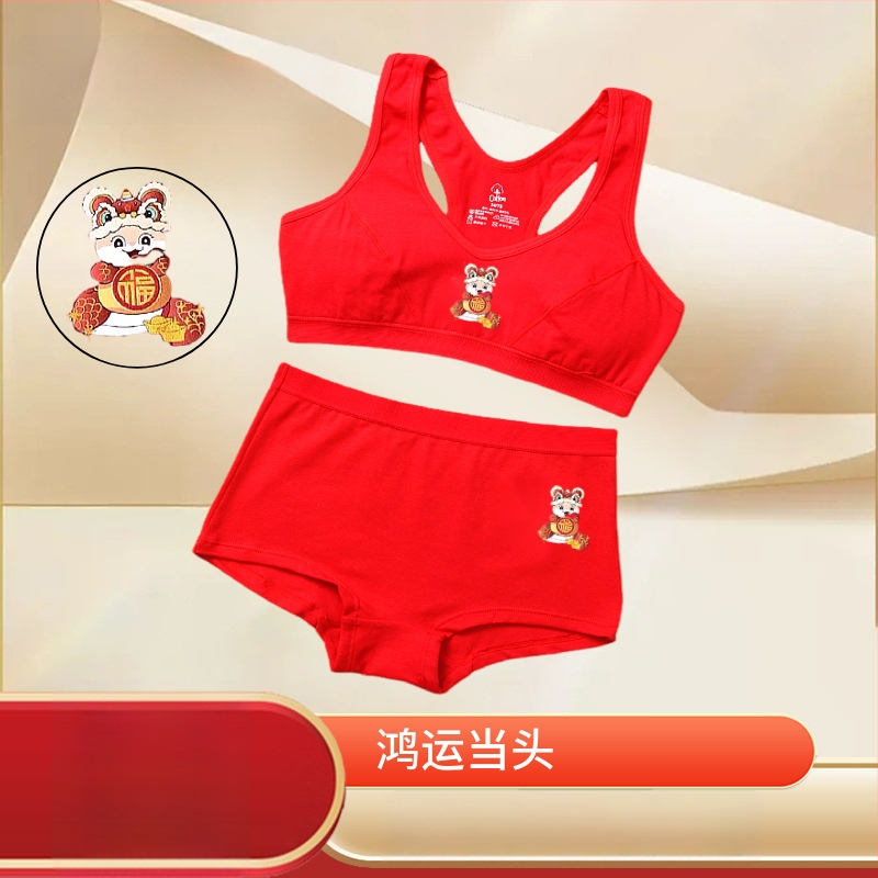 Sada podprsenky s I-chrbátom, bočná opora, tenké tvarované košíčky, 95% bavlna