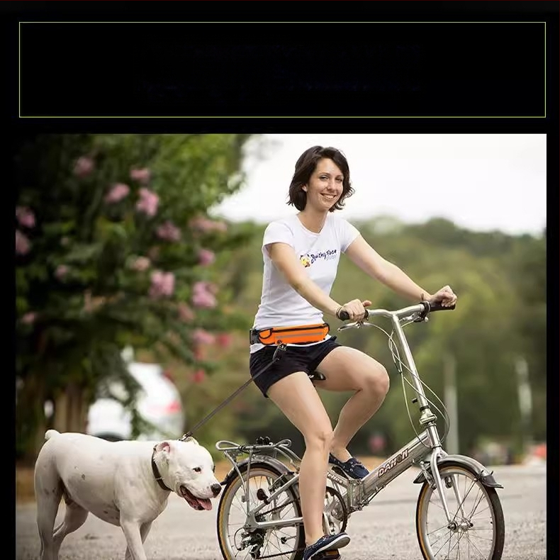 Kéz nélküli derékszíj-póráz macskáknak, visszahúzható zsinórral