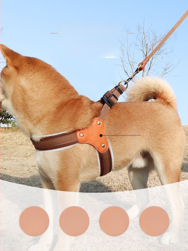 Kutyamellény-hám mellkas- és hátsó pánttal