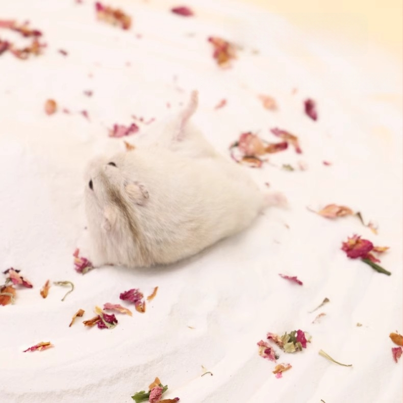 Hörcsög és csincsilla fürdőhomok – 2-in-1 fürdőhomok sterilizálással és dezodorálással