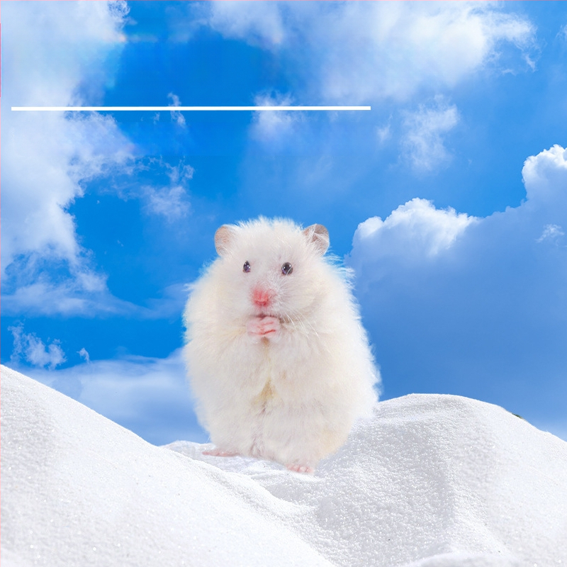 Hörcsög és csincsilla fürdőhomok – 2-in-1 fürdőhomok sterilizálással és dezodorálással