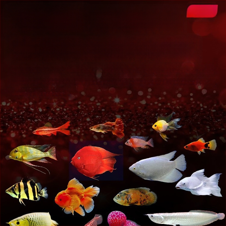 Φως ενυδρείου LED - Αδιάβροχο, Αλουμινένιο κράμα, Ισχύς 10.9W–47.5W, Μάρκα Jiyin