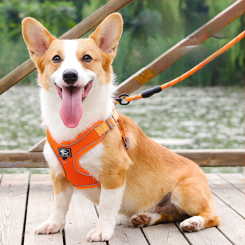 Kutyamellkas-hám, állítható, kötél-stílus, poliészter (Anyag: Poliészter; Kategória: mellkas-hám; Bővíthető: Igen)