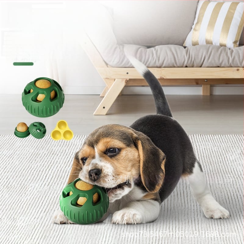 Σιλικόνου δάγκωμα και ταΐσμού παιχνίδι σκύλου με μπάλα διαρροής φαγητού, μάρκα Enjoy the movement