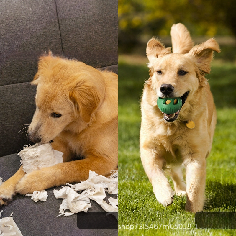 Σιλικόνου δάγκωμα και ταΐσμού παιχνίδι σκύλου με μπάλα διαρροής φαγητού, μάρκα Enjoy the movement