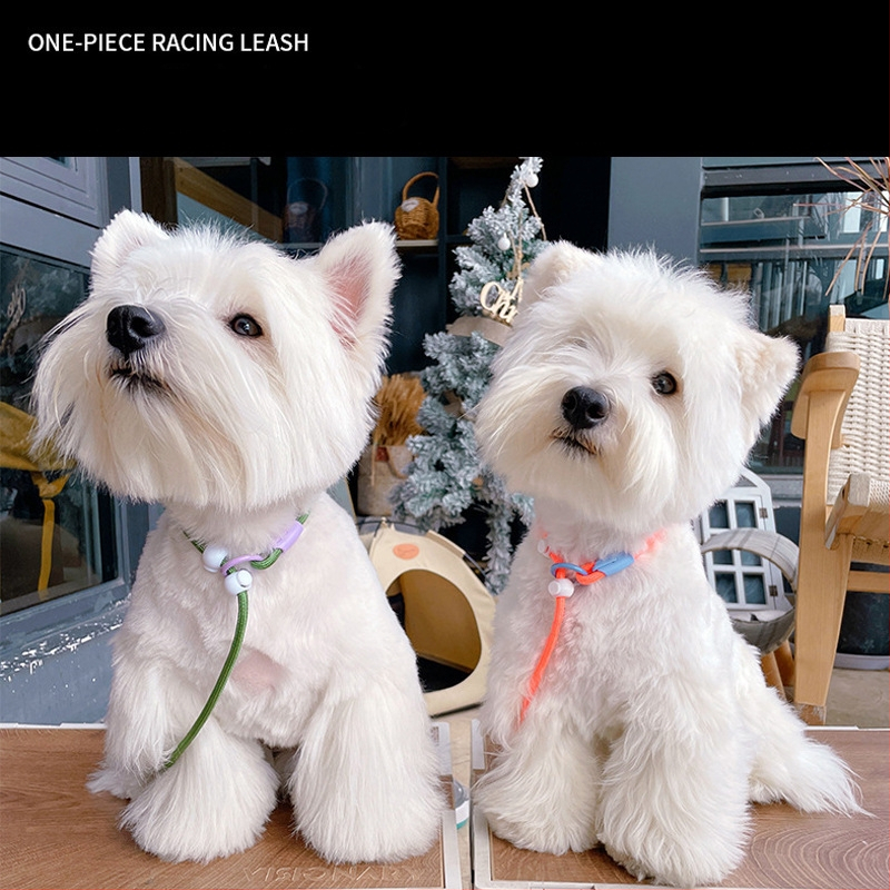 Lesă pentru câini P-Chain pentru antrenament, lesă de antrenament pentru cățeluși, calitate competițională (Brand: Unique; Model: P-Chain; Categoria: lanțuri și frânghii pentru animale de companie)