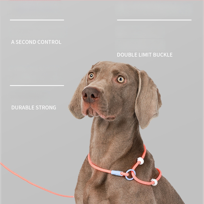 Lesă pentru câini P-Chain pentru antrenament, lesă de antrenament pentru cățeluși, calitate competițională (Brand: Unique; Model: P-Chain; Categoria: lanțuri și frânghii pentru animale de companie)