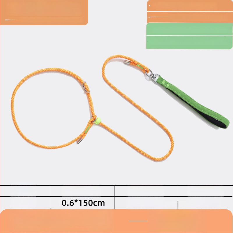 Lesă pentru câini P-Chain pentru antrenament, lesă de antrenament pentru cățeluși, calitate competițională (Brand: Unique; Model: P-Chain; Categoria: lanțuri și frânghii pentru animale de companie)