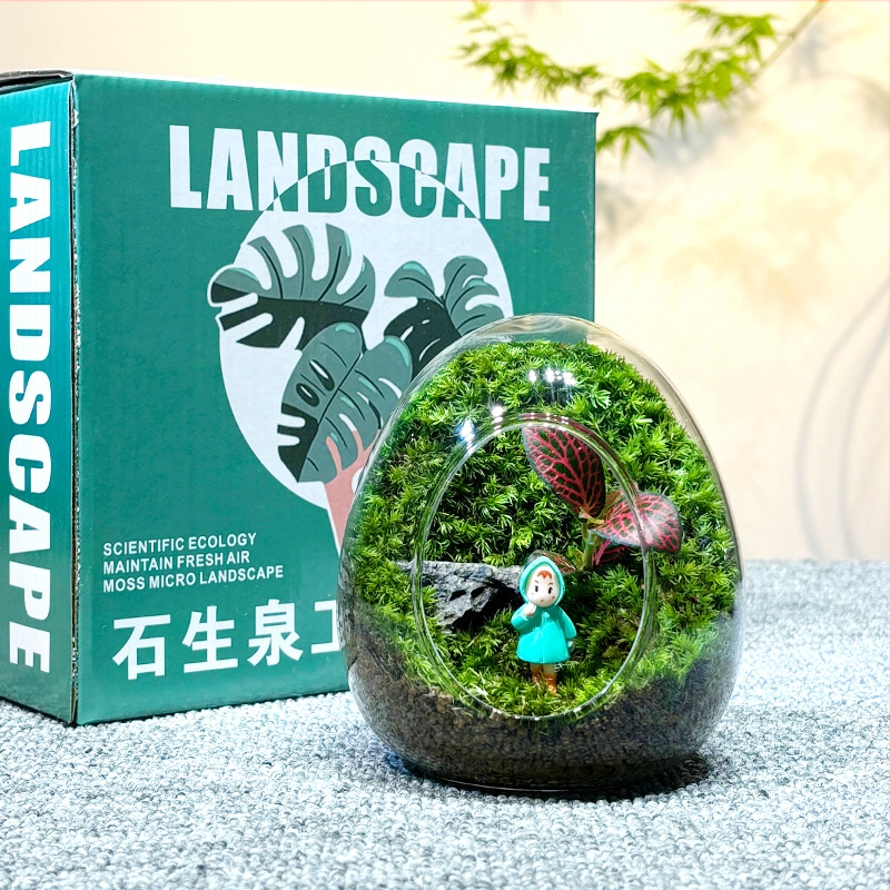 Sticlă cu micro-peisaj de mușchi în coajă de ou — terrarium interior cu mușchi real (Material: sticlă; Stil: Alt; Import: Nu; IP: Nu)