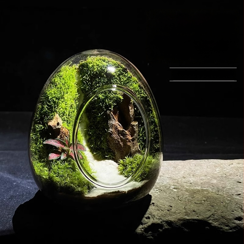 Sticlă cu micro-peisaj de mușchi în coajă de ou — terrarium interior cu mușchi real (Material: sticlă; Stil: Alt; Import: Nu; IP: Nu)
