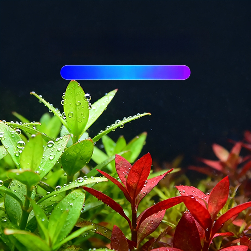 FKSC 10W φωτιστικό ενυδρείου από ανοξείδωτο χάλυβα με πλήρες φάσμα