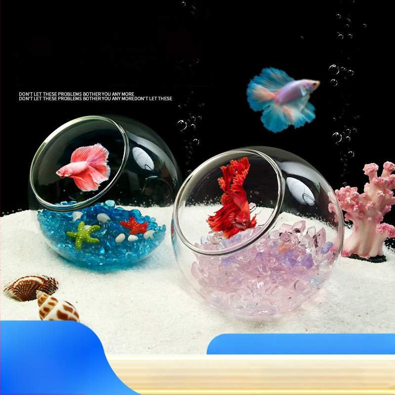 Σετ διακοσμήσεων τοπίου ενυδρείου — γυάλινη κατασκευή; στρογγυλός σχεδιασμός; παρατήρηση και κάλυψη; εξοπλισμός ενυδρείου