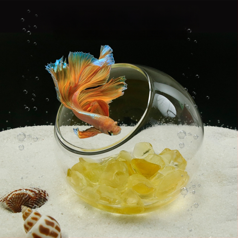 Σετ διακοσμήσεων τοπίου ενυδρείου — γυάλινη κατασκευή; στρογγυλός σχεδιασμός; παρατήρηση και κάλυψη; εξοπλισμός ενυδρείου