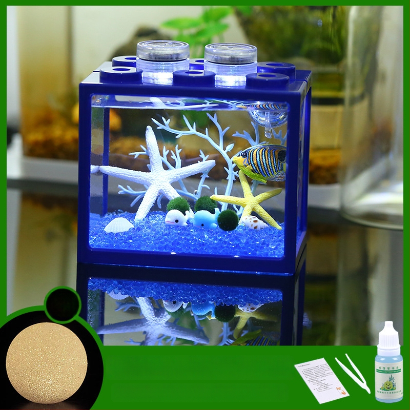 Μίνι μπάλα με φύκια – μικρο-τοπίο σε οικολογικό μπουκάλι, DIY διακόσμηση γραφείου, δώρο; Υλικό: ύφασμα; Τεχνική: φλοκ; Παραλλαγή: Turtle back; Ύψος: Άλλο; Χρήση: Γάμος