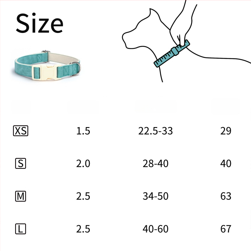 Bőr kutya nyakörv és póráz készlet, állítható, Glow Castle / Flash Castle márka