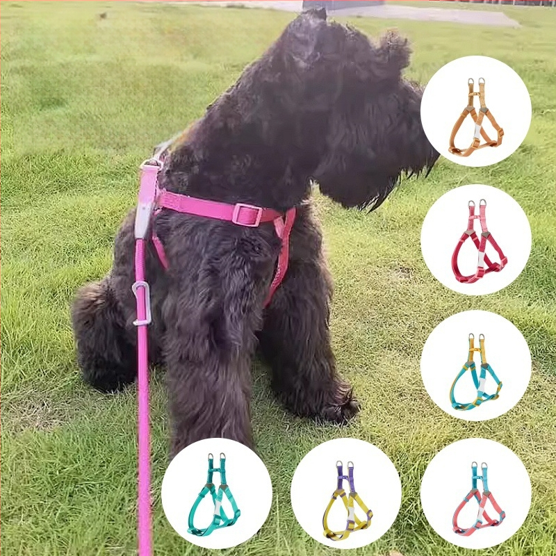 Kutyahám és póráz készlet | Poliészter, Eredet: Zhejiang, Kategória: háziállat kötele, Márka: UNMIXED, Csomagolás: 50 db