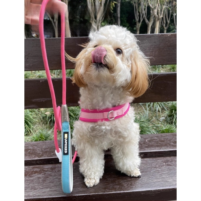 Kutyahám és póráz készlet | Poliészter, Eredet: Zhejiang, Kategória: háziállat kötele, Márka: UNMIXED, Csomagolás: 50 db