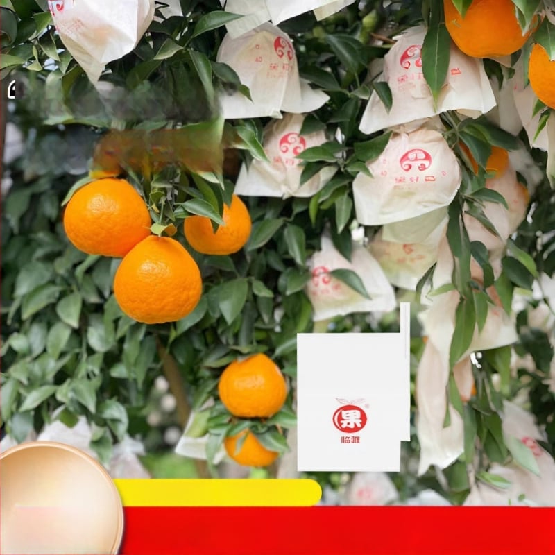 Чанта за обвиване на цитрусови плодове — посадъчно/екологично/защита от вредители и птици; предназначение: цитрусови плодове; внос: Не; марка: Друг