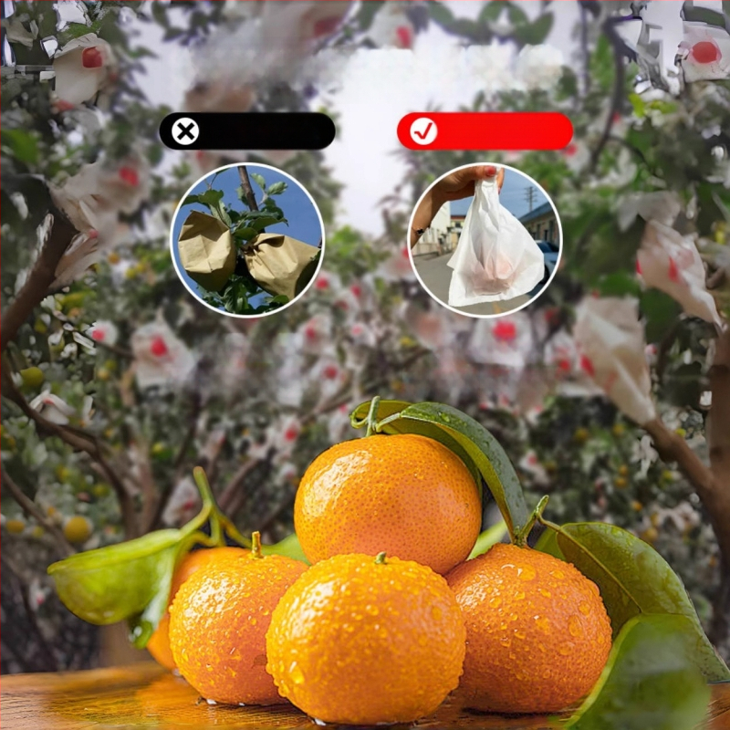 Чанта за обвиване на цитрусови плодове — посадъчно/екологично/защита от вредители и птици; предназначение: цитрусови плодове; внос: Не; марка: Друг
