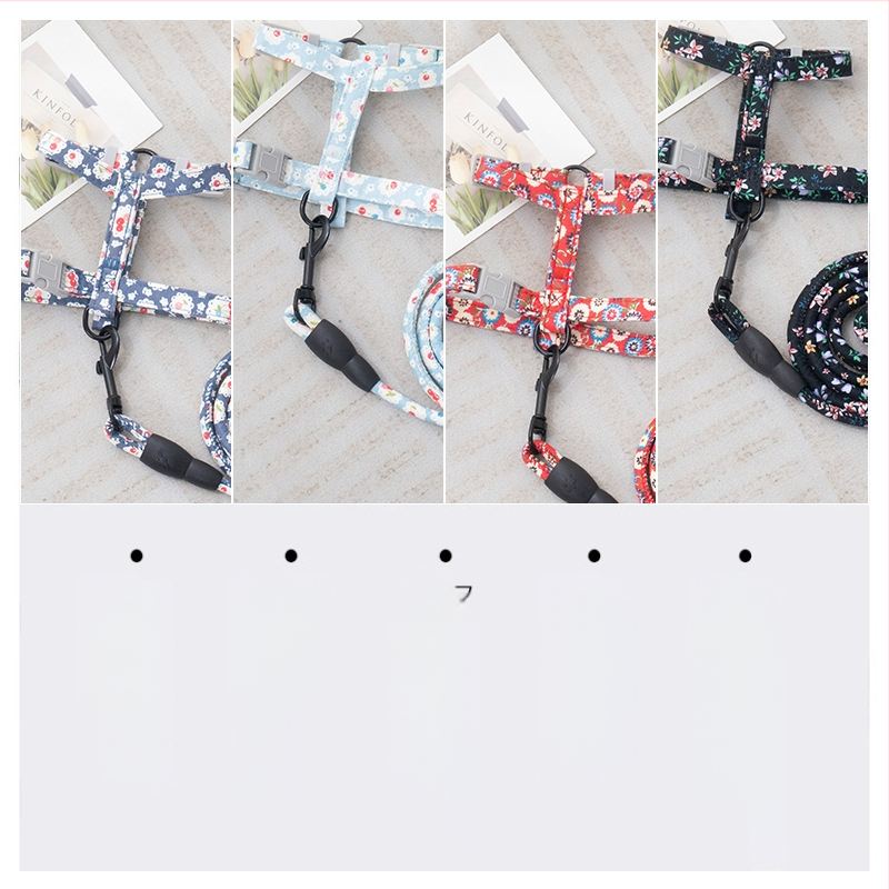 Lesă și ham pentru plimbare cu pisici — anti-ruptură, pandantiv din plastic, lanțuri și frânghii pentru animale de companie