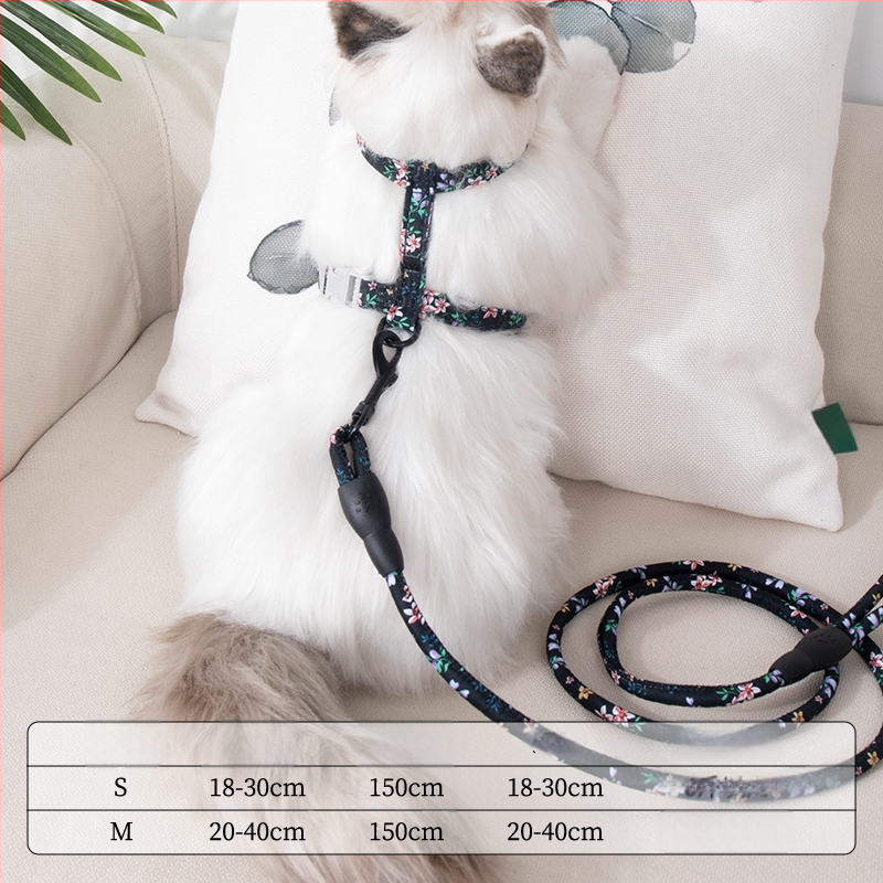 Lesă și ham pentru plimbare cu pisici — anti-ruptură, pandantiv din plastic, lanțuri și frânghii pentru animale de companie