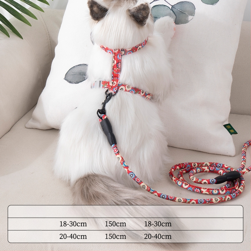 Lesă și ham pentru plimbare cu pisici — anti-ruptură, pandantiv din plastic, lanțuri și frânghii pentru animale de companie