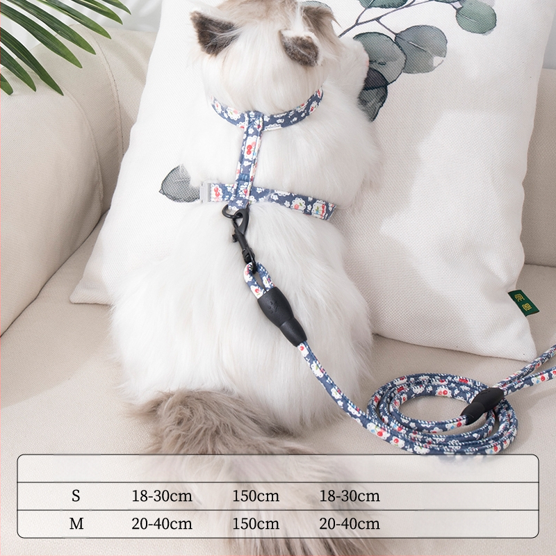 Lesă și ham pentru plimbare cu pisici — anti-ruptură, pandantiv din plastic, lanțuri și frânghii pentru animale de companie