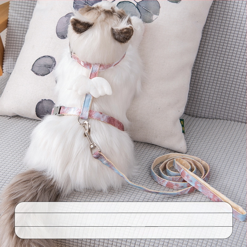 Lesă și ham pentru plimbare cu pisici — anti-ruptură, pandantiv din plastic, lanțuri și frânghii pentru animale de companie