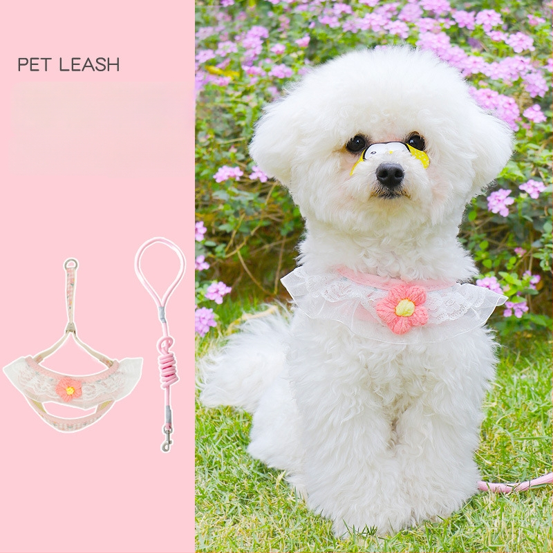 Kis testű kutyák számára való póráz — kötél-lánc kialakítás; Anyag: Egyéb; Kategória: Húzóöv; Csomagolás: 300 darab