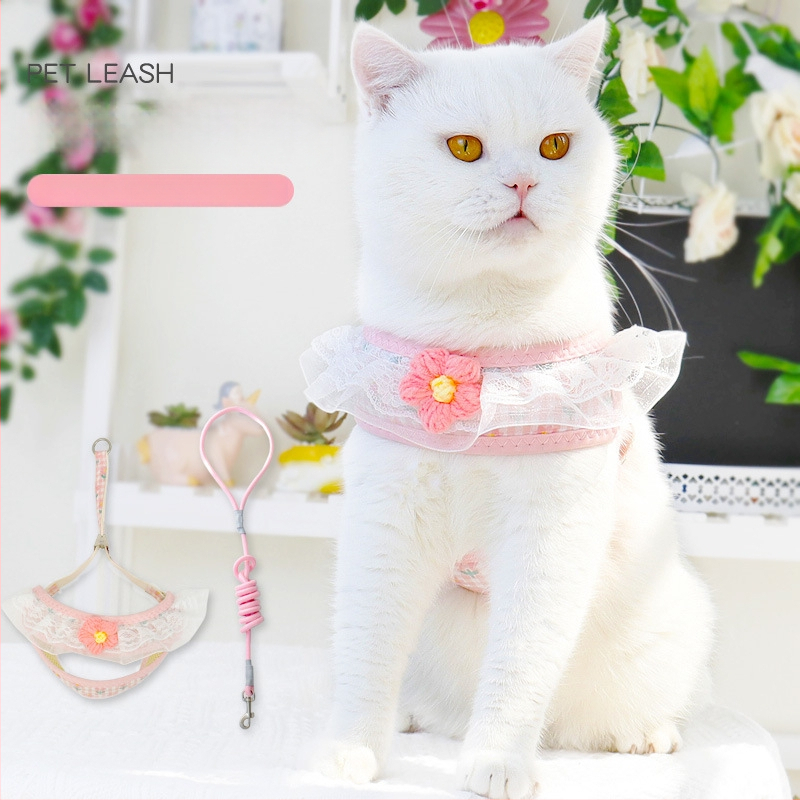 Kis testű kutyák számára való póráz — kötél-lánc kialakítás; Anyag: Egyéb; Kategória: Húzóöv; Csomagolás: 300 darab