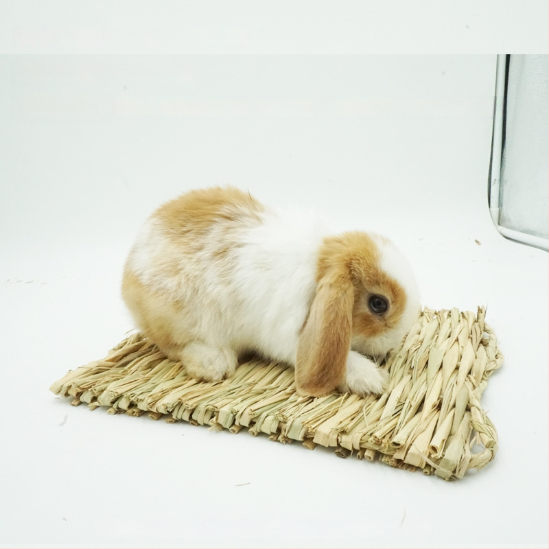 Χειροποίητο φωλίστρι από χορτάρι για μικρά κατοικίδια – κατάλυμα για κουνέλια, τσιντσίλα, σκαντζόχοιρους – Υλικό: μεταξωτό λουλούδι