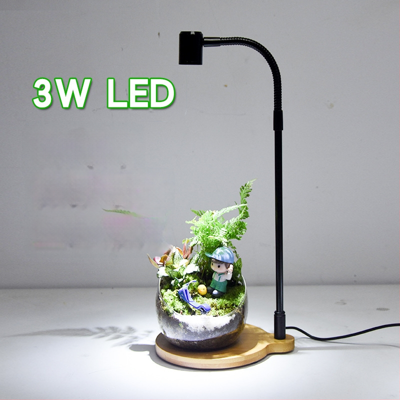 LED φως ανάπτυξης φυτών για παχύφυτα και φυτά σε γλάστρες - πλήρες φάσμα, 3W, 0,5 kg