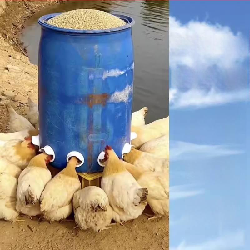 Автоматична хранилка за кокошки с защита от мишки, пластмасова конструкция, пълен комплект за автоматично хранене, подходяща за аквариум