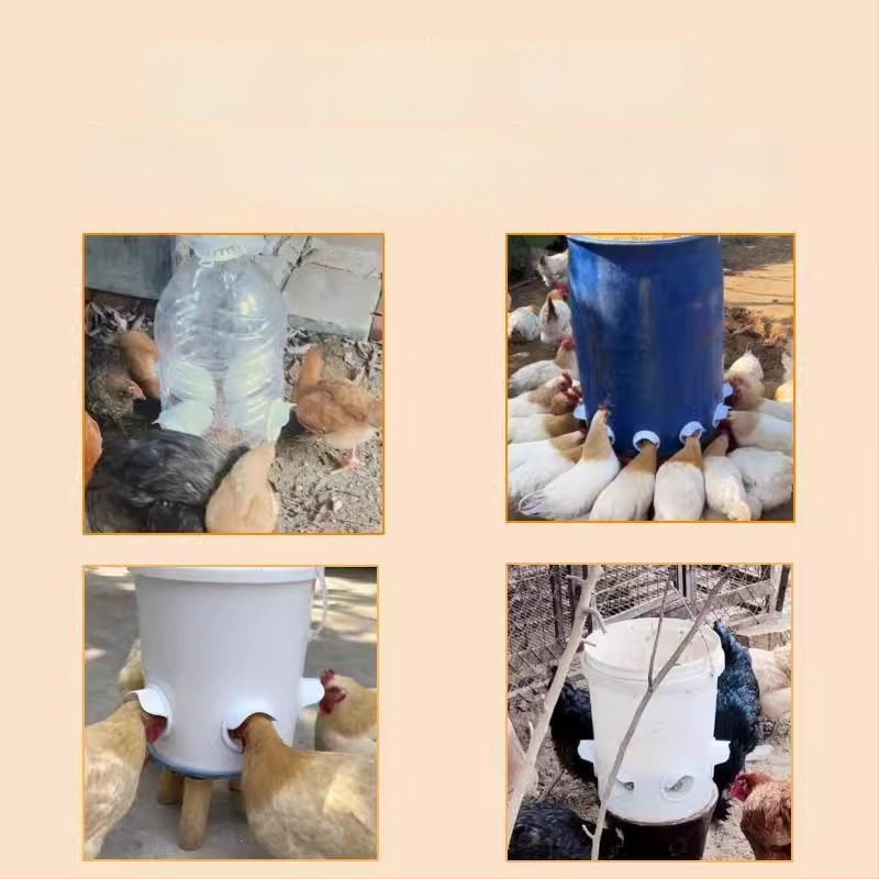 Автоматична хранилка за кокошки с защита от мишки, пластмасова конструкция, пълен комплект за автоматично хранене, подходяща за аквариум