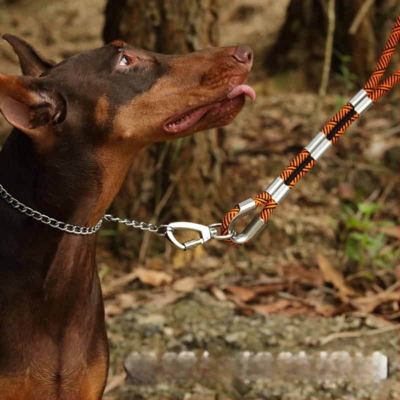 Kutyapóráz, duplaszálú nylon, imitációs nylon anyag, fémcsattal, Banoohawk márka