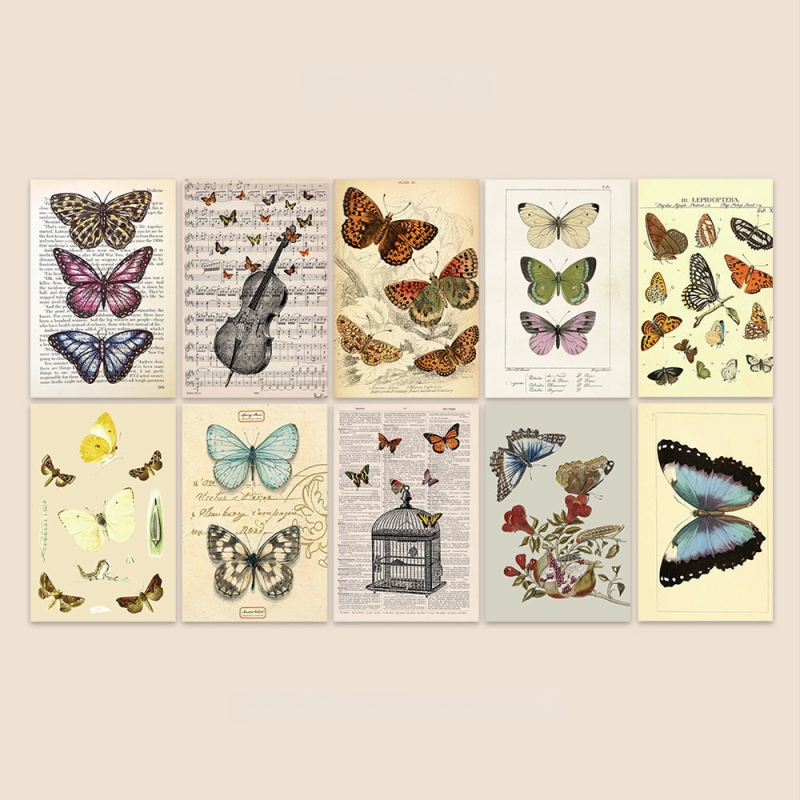 3D pillangó falimatrica – PVC anyag, egy darab, háromdimenziós dizájn, alkalmas nappalira, bejáratra és kereskedelmi terekre