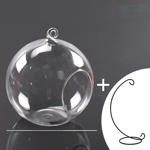 Γυάλινο μπουκάλι DIY για μικρο-τοπία με βρύα – Υψηλό borosilikat γυαλί, Creative Workshop, συσκευασία από χαρτόνι, κρεμαστό μπουκάλι