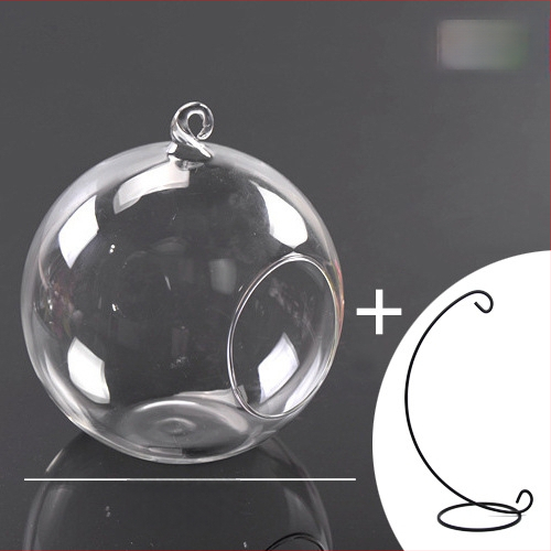 Γυάλινο μπουκάλι DIY για μικρο-τοπία με βρύα – Υψηλό borosilikat γυαλί, Creative Workshop, συσκευασία από χαρτόνι, κρεμαστό μπουκάλι