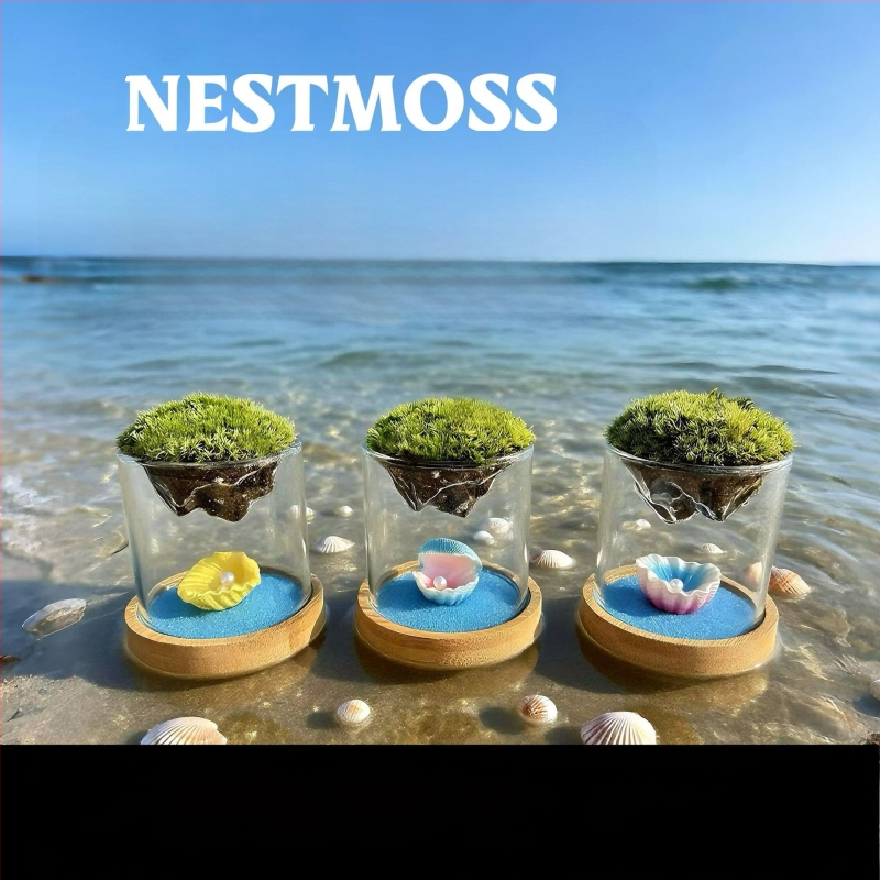 Γυάλινο βάζο με μίνι τοπίο από βρύα για γραφείο, γυαλί υψηλής αντοχής, μάρκα Independent, δώρο επιχειρήσεων