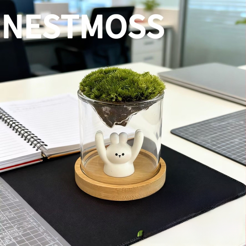 Γυάλινο βάζο με μίνι τοπίο από βρύα για γραφείο, γυαλί υψηλής αντοχής, μάρκα Independent, δώρο επιχειρήσεων